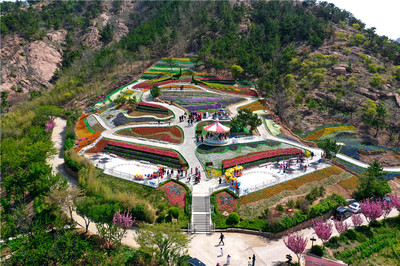 免費游花海！第三屆青島花卉博覽會今日在生態園盛大啟動