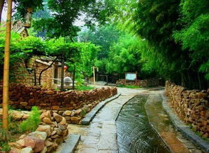 竹泉村與蘭陵生態園兩日游 探秘自然生態與人文風情