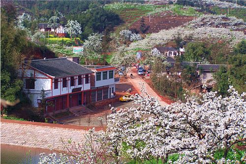 探秘“這就是開佛”生態(tài)園 自然與人文的和諧交融
