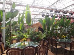 甘肅金石園林景觀工程公司 石嘴山生態(tài)園優(yōu)質(zhì)產(chǎn)品圖片供應(yīng)