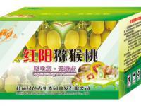 桂林綠色香生態園 山水間的生態綠洲，可持續發展的文旅新名片