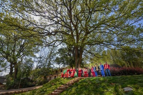 浙江擘畫詩路文化新藍圖 九市聯動，生態為基，打造中華文脈傳承創新帶