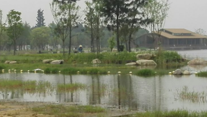 勝地公園 吳江最大的生態園，自然與人文的完美融合