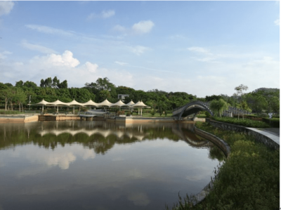 東進下的坪山，你還認識嗎？探秘生態園新篇