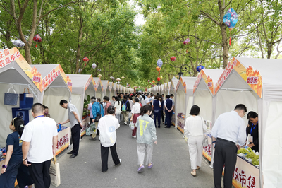 金山啟動“豐收狂歡盛宴”，8天近20項活動邀市民打卡“魔都后花園”生態園