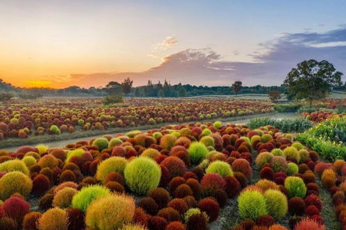 長三角文旅一體化再結(jié)碩果 2022年生態(tài)主題專項(xiàng)旅游產(chǎn)品權(quán)威發(fā)布