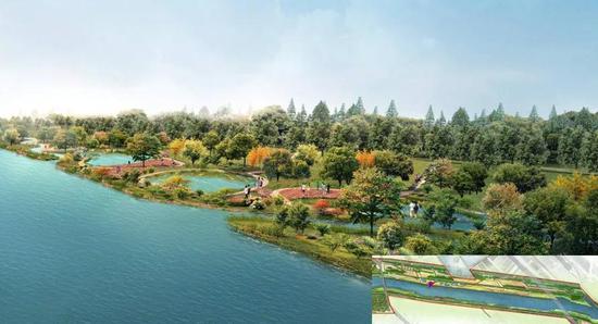 煥新升級(jí)！北辰郊野公園變身生態(tài)樂園，櫻花園與童趣天地驚艷亮相